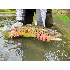 Mossy Creek Fly Fishing Forecast 10/10/2023