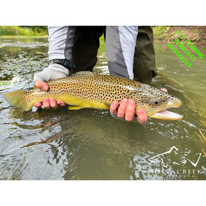 Mossy Creek Fly Fishing Forecast 10/10/2023