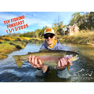 Mossy Creek Fly Fishing Forecast 11/17/2025