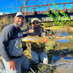 Mossy Creek Fly Fishing Forecast 11/20/2023