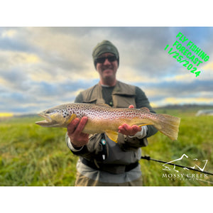Mossy Creek Fly Fishing Forecast 11/25/2024
