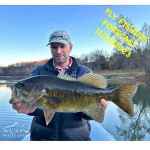 Mossy Creek Fly Fishing Forecast 11/27/2023
