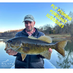Mossy Creek Fly Fishing Forecast 11/27/2023
