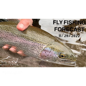 Mossy Creek Fly Fishing Forecast 11/28/22