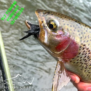 Mossy Creek Fly Fishing Forecast 12/18/2023