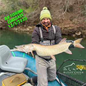 Mossy Creek Fly Fishing Forecast 12/1/2025