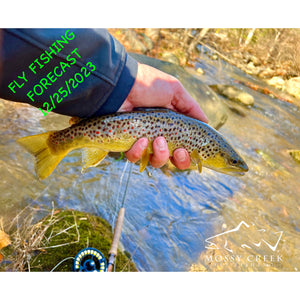 Mossy Creek Fly Fishing Forecast 12/25/2025