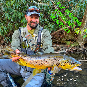 Mossy Creek Fly Fishing Forecast 12/4/2023
