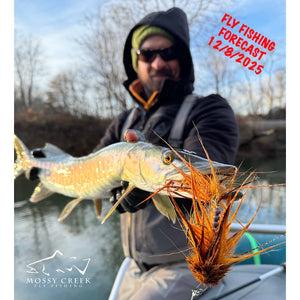 Mossy Creek Fly Fishing Forecast 12/8/2025