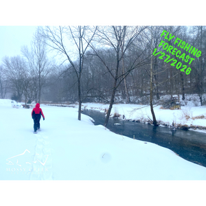 Mossy Creek Fly Fishing Forecast 1/28/2026