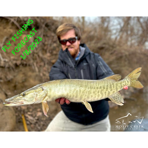 Mossy Creek Fly Fishing 1/8/2023