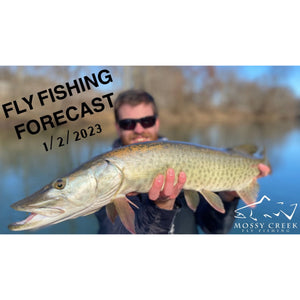 Mossy Creek Fly Fishing Forecast 1/2/2023
