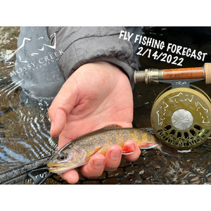 Mossy Creek Fly Fishing Forecast 2/14/2022