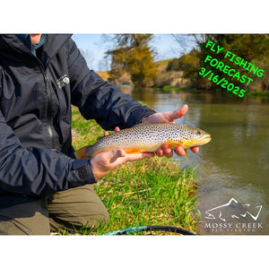 Mossy Creek Fly Fishing Forecast 3/16/2025
