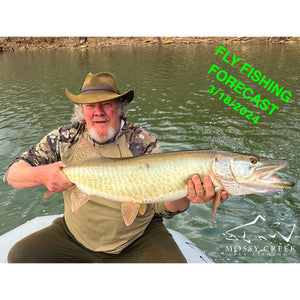 Mossy Creek Fly Fishing Forecast 3/18/2024
