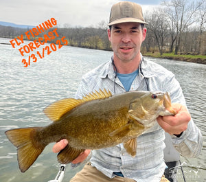 Mossy Creek Fly Fishing Forecast 3/31/2025