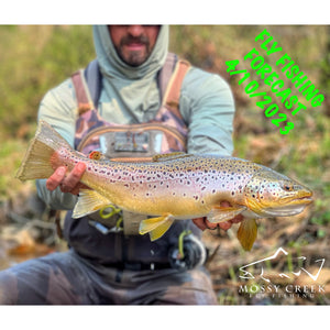 Mossy Creek Fly Fishing Forecast 4/10/2023