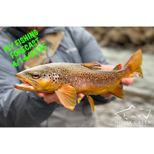 Mossy Creek Fly Fishing Forecast 4/14/2025
