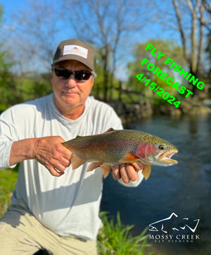 Mossy Creek Fly Fishing Forecast 4/15/2024