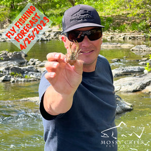 Mossy Creek Fly Fishing Forecast 4/25/2023