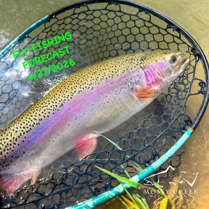 Mossy Creek Fly Fishing Forecast 4/27/2026