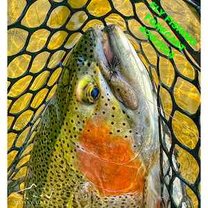 Mossy Creek Fly Fishing Forecast 4/29/2024