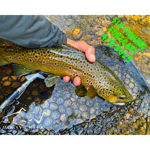 Mossy Creek Fly Fishing Forecast 4/3/2023