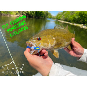 Mossy Creek Fly Fishing Forecast 5/11/2026