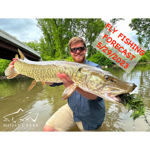 Mossy Creek Fly Fishing Forecast 5/29/2023