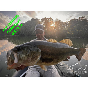 Mossy Creek Fly Fishing Forecast 6/5/2024