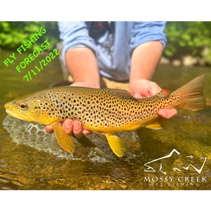Mossy Creek Fly Fishing Forecast 7/11/2022