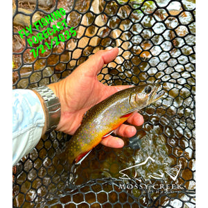 Mossy Creek Fly Fishing Forecast 7/21/2025