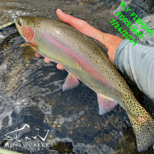 Mossy Creek Fly Fishing Forecast 7/24/2023