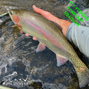 Mossy Creek Fly Fishing Forecast 7/24/2023