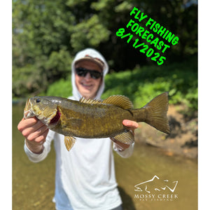 Mossy Creek Fly Fishing Forecast 8/11/2025