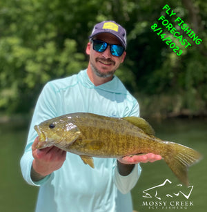Mossy Creek Fly Fishing Forecast 8/14/2023
