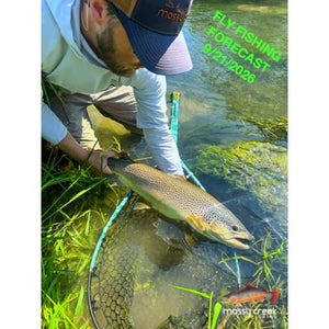 Mossy Creek Fly Fishing Forecast 9/21/2026