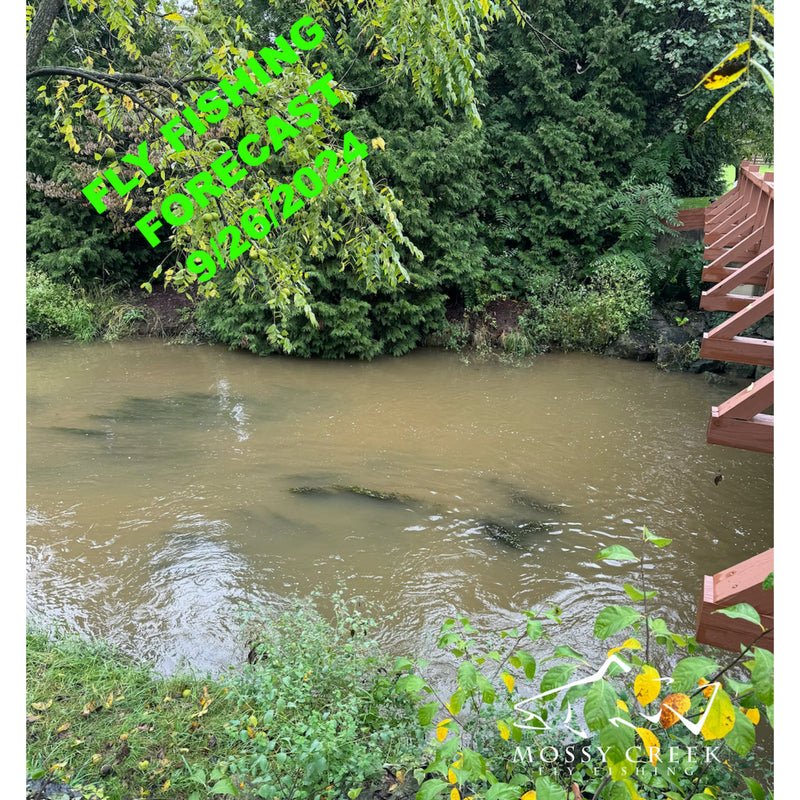 Mossy Creek Fly Fishing Forecast 9/26/2024 Mossy Creek Fly Fishing