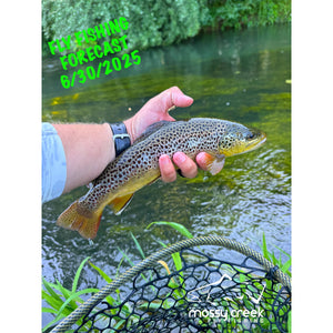Mossy Creek Fly Fishing Forecast 6/30/2025