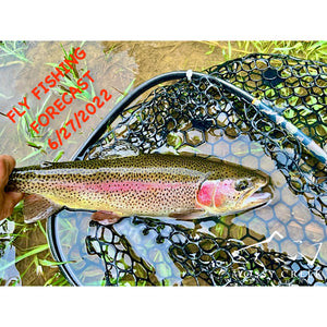 Mossy Creek Fly Fishing Forecast 6/27/2022