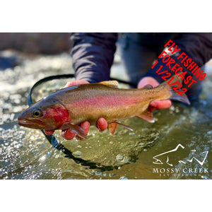 Mossy Creek Fly Fishing Forecast 11/21/2022