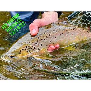 Mossy Creek Fly Fishing Forecast 12/19/22