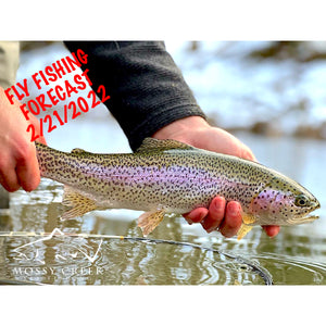 Mossy Creek Fly Fishing Forecast 2/21/2022