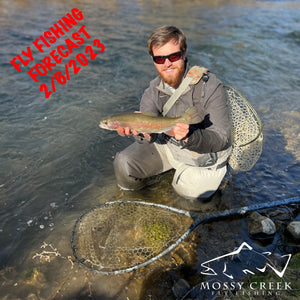 Mossy Creek Fly Fishing Forecast 2/6/2023