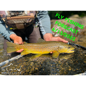 Mossy Creek Fly Fishing Forecast 6/13/2022