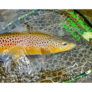 Mossy Creek Fly Fishing Forecast 6/21/2022