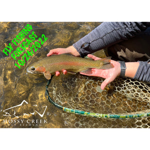 Mossy Creek Fly Fishing Forecast 10/24/2022