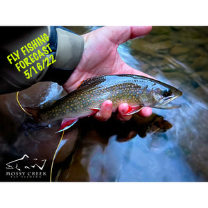 Mossy Creek Fly Fishing Forecast 5/16/2022