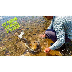 Mossy Creek Fly Fishing Forecast 5/9/2022