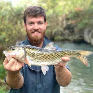 Mossy Creek Fly Fishing Forecast 10/12/2021